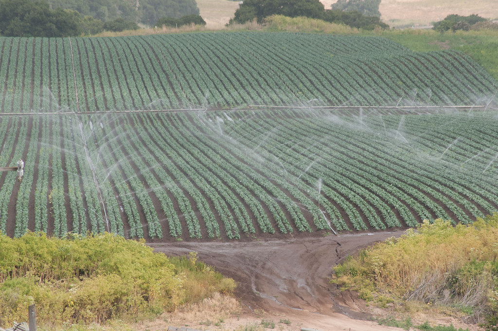 What are the benefits to regular irrigation maintenance on my property?